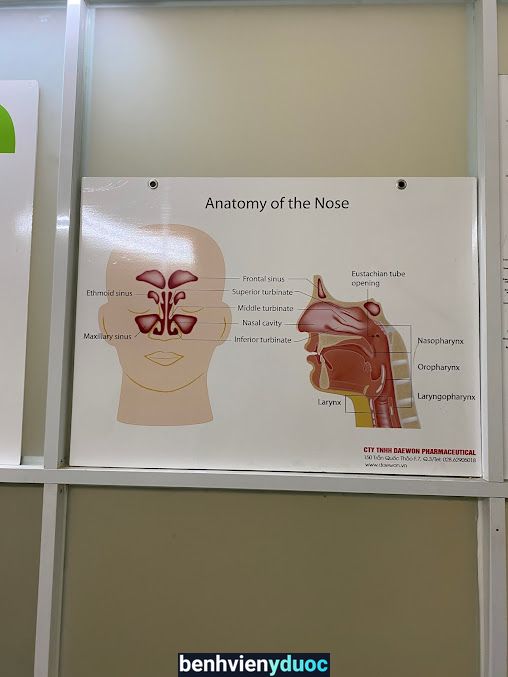 Phòng Khám Tai Mũi Họng - BS Nguyễn Thái Sơn Gò Vấp Hồ Chí Minh