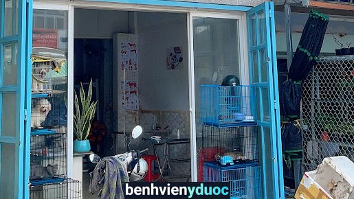 Phòng khám thú y Đất Đỏ Đất Đỏ Bà Rịa - Vũng Tàu