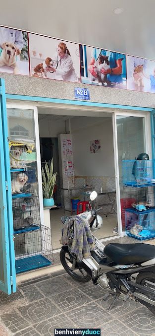 Phòng khám thú y Đất Đỏ Đất Đỏ Bà Rịa - Vũng Tàu