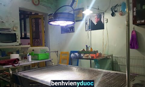Phòng khám Thú y Doctor Mạnh Đan Phượng Hà Nội