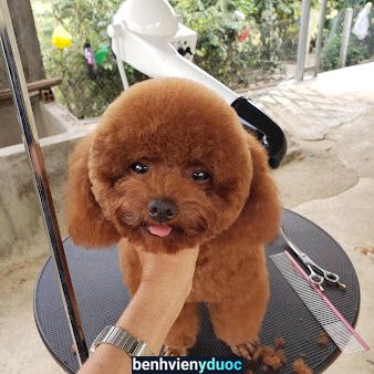 Phòng Khám thú y HOAITHUONG PET Tân Phú Đồng Nai