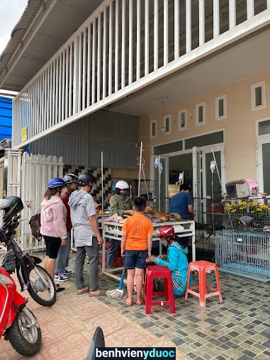 Phòng khám thú y Hữu Vinh Bảo Lộc Lâm Đồng