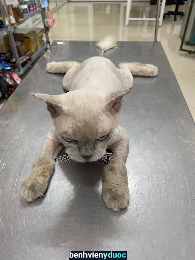Phòng khám thú y Hữu Vinh Bảo Lộc Lâm Đồng