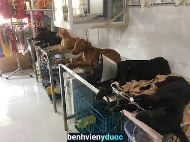Phòng khám thú y PetFarm - Phước Long- Bình Phước Phước Long Bình Phước