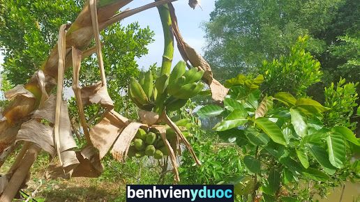 Phòng thuốc THỌ THIÊN ĐƯỜNG Châu Thành Đồng Tháp