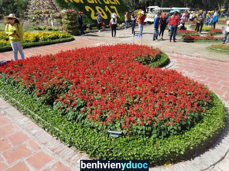 Quầy Thuốc Ngọc Hiền - Đầm Dơi Đầm Dơi Cà Mau