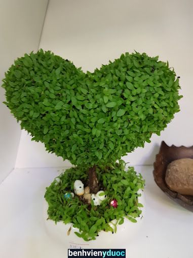Spa & Clinic Ngoc Thanh 4 Hồ Chí Minh
