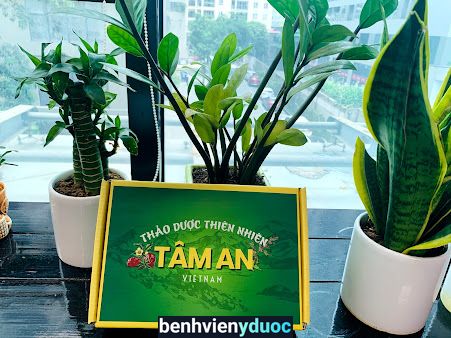 Tâm An - Y học cổ truyền Việt Nam Mỹ Đức Hà Nội
