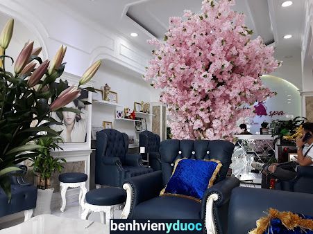 Thẩm Mỹ Viện Lọ Lem 3 Hồ Chí Minh