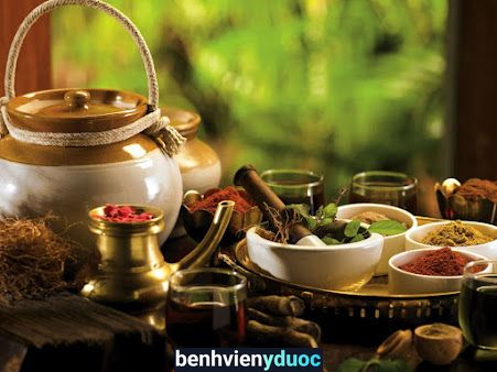 The Art Of Living Vietnam - Yoga, Meditation and Wellness Center