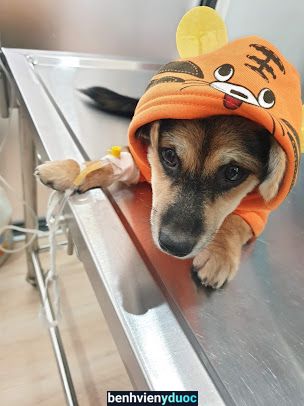 Thú Y Phú Quốc Phú Quốc Kiên Giang