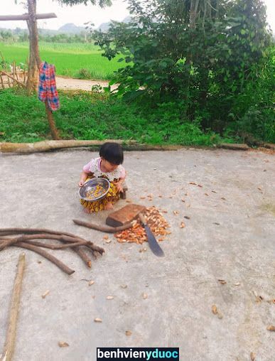 Thuốc Nam Bà Hằng Tân Kỳ Nghệ An