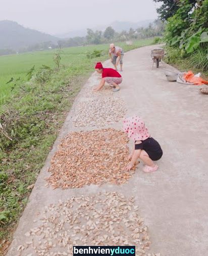 Thuốc Nam Bà Hằng Tân Kỳ Nghệ An