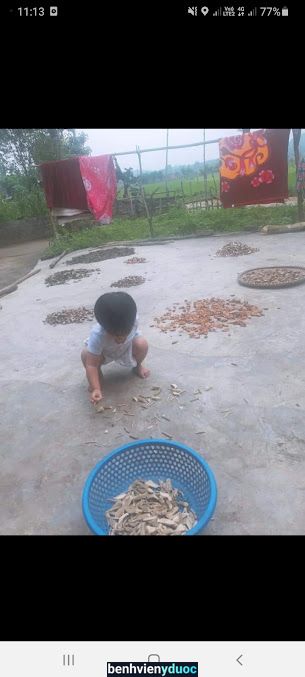 Thuốc Nam Bà Hằng Tân Kỳ Nghệ An