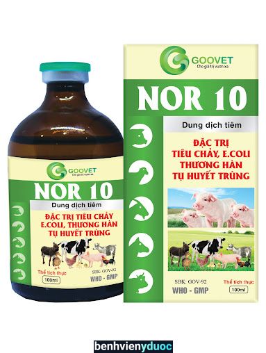 Thuốc thú y An Nhung Buôn Ma Thuột Đăk Lăk Buôn Ma Thuột Đắk Lắk