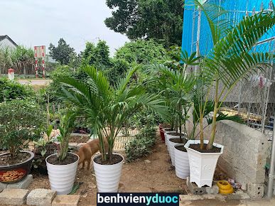 Thuốc Thú Y - VTNN Hải Phương Tân Kỳ Nghệ An