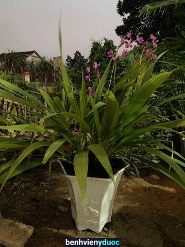 Thuốc Thú Y - VTNN Hải Phương Tân Kỳ Nghệ An