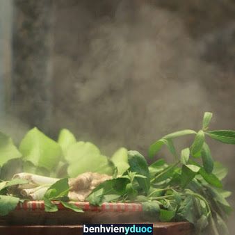 Tonkin Spa - Discover The Vietnamese Traditional Therapy Tây Hồ Hà Nội