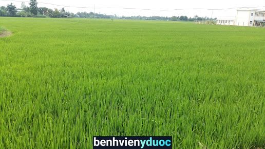 Trạm Y Tế Xã Bình Phú Gò Công Tây Tiền Giang