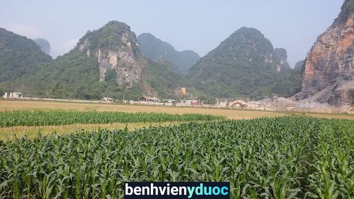 Trạm Y tế xã Cẩm Phong Cẩm Thủy Thanh Hóa