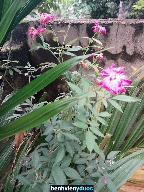 Trạm Y Tế Xã Chí Đám Đoan Hùng Phú Thọ