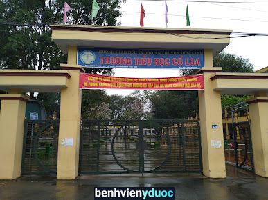 Trạm Y Tế Xã Cổ Loa Đông Anh Hà Nội