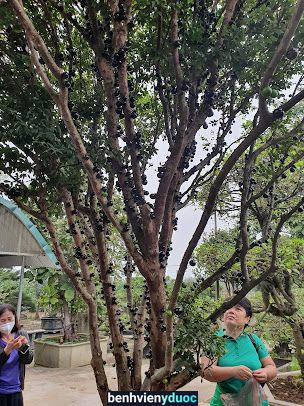 Trạm y tế xã Đồng Trúc Thạch Thất Hà Nội