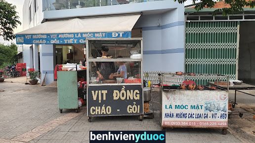 Trạm Y Tế Xã Hắc Dịch Phú Mỹ Bà Rịa - Vũng Tàu