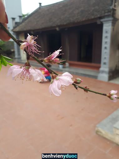 Trạm Y Tế Xã Hiệp Lực Ninh Giang Hải Dương