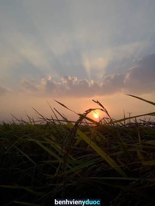 Trạm Y Tế Xã Hồng Phúc Ninh Giang Hải Dương