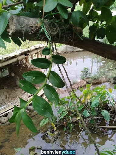 Trạm Y Tế Xã Kỳ Tân Bá Thước Thanh Hóa