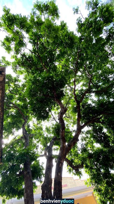 Trạm Y tế xã Vân Canh Hoài Đức Hà Nội