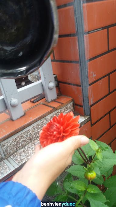 Trung Tâm Chăm Sóc Sức Khỏe Và Vật Lý Trị Liệu Hưng Sơn Thái Bình Thái Bình