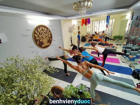 Trung Tâm Đào Tạo Hlv Yoga Tphcm Gò Vấp Hồ Chí Minh