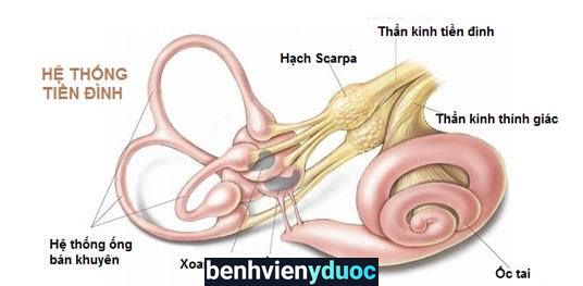 Trung Tâm Tẩm Quất Cổ Truyền Người Mù Ánh Dương Kiến Thuỵ Hải Phòng