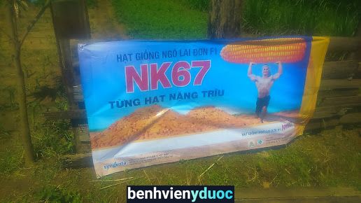 Trung Tâm Y Tế Huyện Phú Giáo Phú Giáo Bình Dương