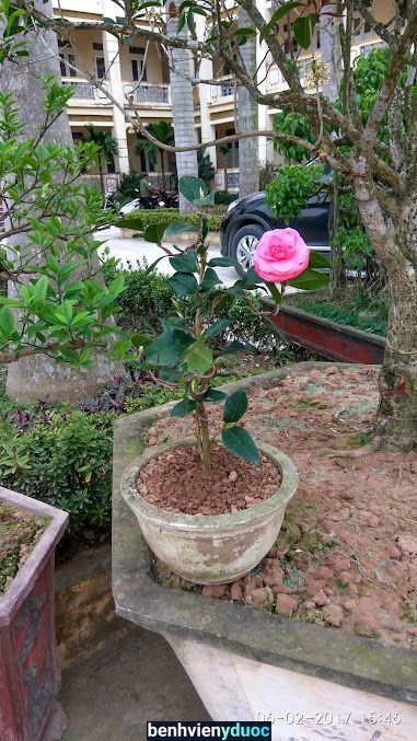 Trung Tâm Y Tế Nam Trực Nam Trực Nam Định