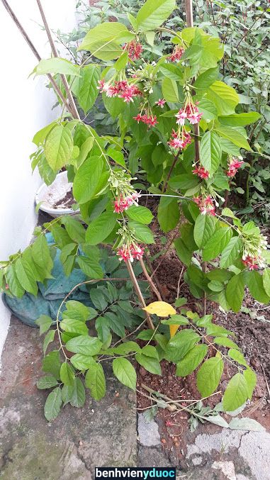 Trung Tâm y Tế Xã Hưng Long Mỹ Hào Hưng Yên