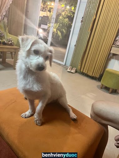 Vi's Spa Phú Quốc Kiên Giang