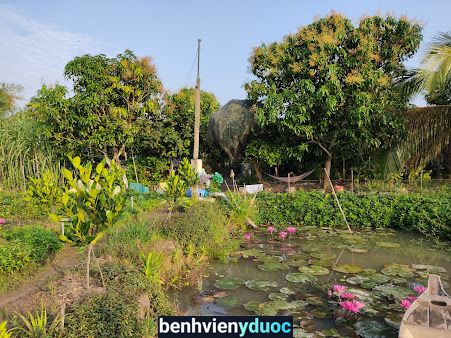 Vườn Mít Khoa Nguyễn Cao Lãnh Đồng Tháp