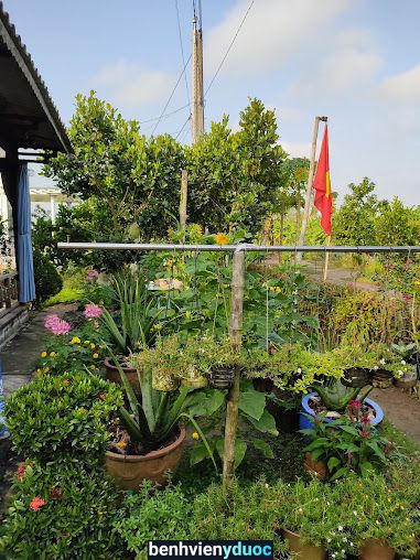 Vườn Mít Khoa Nguyễn Cao Lãnh Đồng Tháp
