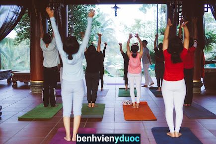 Yoga Hiểu Về Sức Khỏe Bình Thạnh Hồ Chí Minh