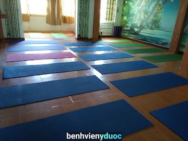 Yoga Hương Tre Tân Bình Hồ Chí Minh
